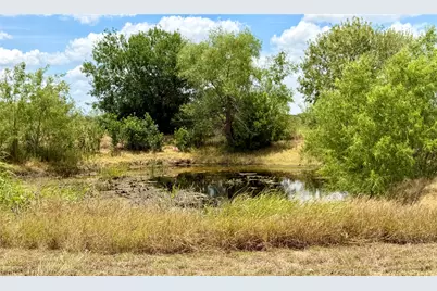 441 Molasses Road, Dale, TX 78616 - Photo 32