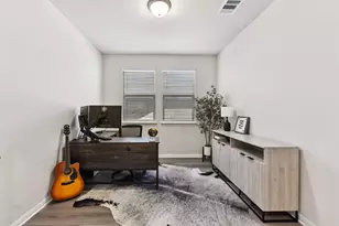 307 Cathedral Mountain Dr, Dripping Springs, TX 78620 - Photo 4