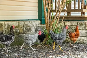 11790 E Fm 1431 Hwy, Marble Falls, TX 78654 - Photo 18