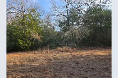 0 Lakeshore Drive, Paige, TX 78659 - Photo 1