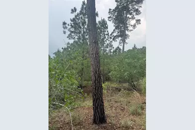 Lots 1612, 1613, 1614 Kaanapali Lane, Bastrop, TX 78602 - Photo 6