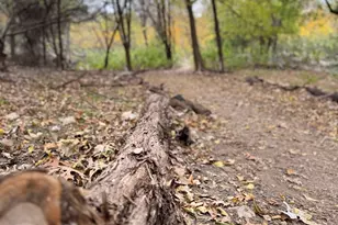 8200 Neely Dr, Austin, TX 78759 - Photo 34