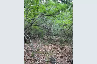 Lot 1603 Ulupau Circle, Bastrop, TX 78602 - Photo 1