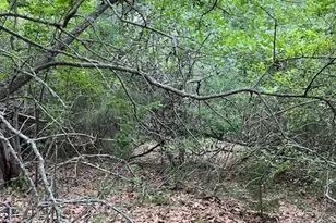 Lot 1603 Ulupau Circle, Bastrop, TX 78602 - Photo 1