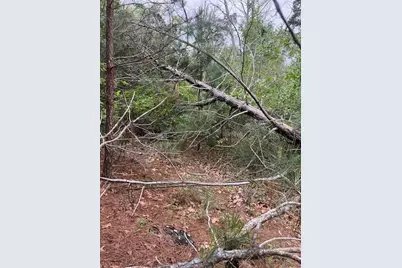 Lot 1603 Ulupau Circle, Bastrop, TX 78602 - Photo 4
