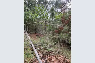 Lot 1603 Ulupau Circle, Bastrop, TX 78602 - Photo 2