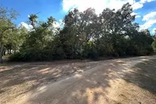 529 Madison St, Elgin, TX 78621 - Photo 4