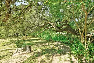 2716 Hillview Green Ln, Austin, TX 78703 - Photo 34