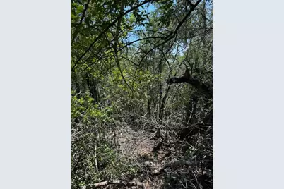 157 Lamaloa Lane, Bastrop, TX 78602 - Photo 4