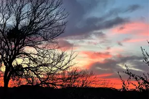 2805 Orsobello Pl, Cedar Park, TX 78613 - Photo 20