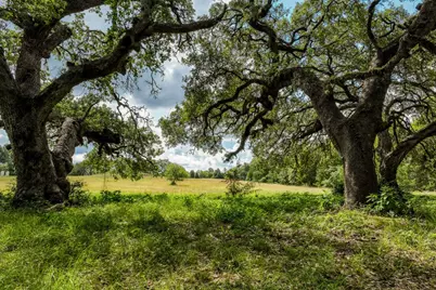 515 E St 543 Loop, West Point, TX 78963 - Photo 28
