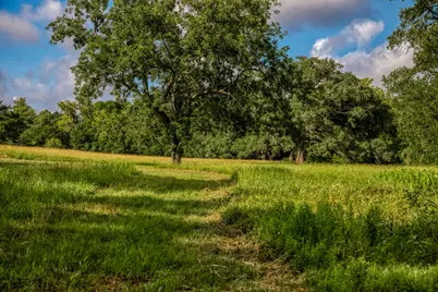 515 E Sh 543 Loop, West Point, TX 78963 - Photo 28