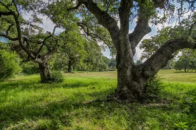 515 E St 543 Loop, West Point, TX 78963 - Photo 22