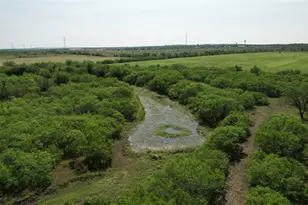 6144 Turnersville Rd, Creedmoor, TX 78610 - Photo 16