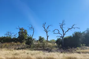 Lot 73 Shin Oak Dr, Lampasas, TX 76550 - Photo 4