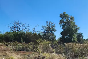 Lot 73 Shin Oak Dr, Lampasas, TX 76550 - Photo 6