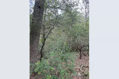 Lot 294 Aka Court, Bastrop, TX 78602 - Photo 4