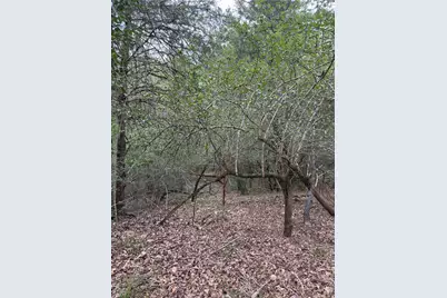 Lot 294 Aka Court, Bastrop, TX 78602 - Photo 6