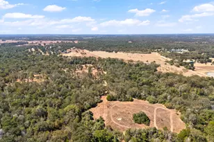 196 Willy Rd, Bastrop, TX 78602 - Photo 32