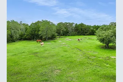 226 Stolle Lane, Flatonia, TX 78941 - Photo 32