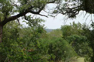 1619 Althaus Ranch Rd, Johnson City, TX 78636 - Photo 32