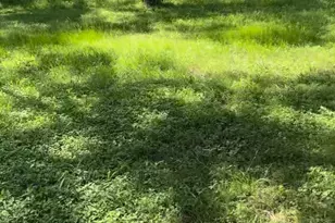 10002 Hwy Fm 969 Rd, Austin, TX 78724 - Photo 1