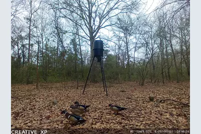 555 Private Road 3428, Milano, TX 76558 - Photo 10