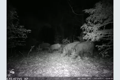 555 Private Road 3428, Milano, TX 76558 - Photo 12