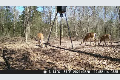 555 Private Road 3428, Milano, TX 76558 - Photo 8