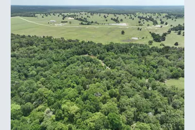 555 Private Road 3428, Milano, TX 76558 - Photo 16