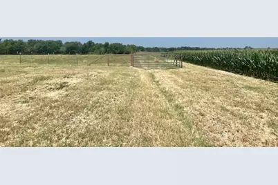 1117 County Road 423, Taylor, TX 76574 - Photo 6