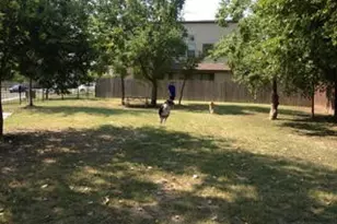 2811 Corbin Ln, Austin, TX 78704 - Photo 2