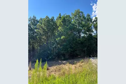 Tbd Poi Court, Bastrop, TX 78602 - Photo 4