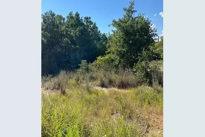 Tbd Poi Court, Bastrop, TX 78602 - Photo 1