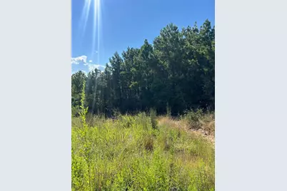 Tbd Poi Court, Bastrop, TX 78602 - Photo 2