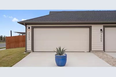 2507 Violet Theo Lane, Round Rock, TX 78665 - Photo 30