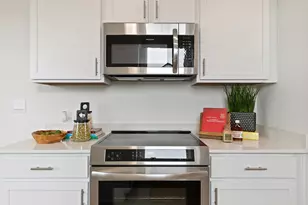 2507 Violet Theo Ln, Round Rock, TX 78665 - Photo 12