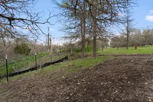 21007 Coleman Branch Creek Rd, Elgin, TX 78621 - Photo 28