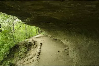 6521 Kauai Lane, Austin, TX 78744 - Photo 38