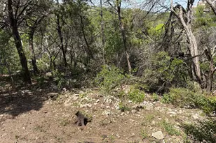 4711 Spicewood Springs Rd, Austin, TX 78759 - Photo 6