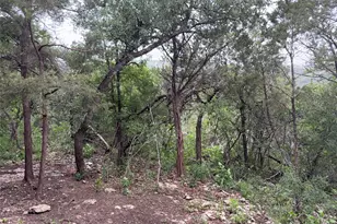 4711 Spicewood Springs Rd, Austin, TX 78759 - Photo 4