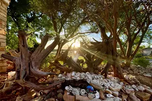 5802 Longhorn Landing, Austin, TX 78734 - Photo 2