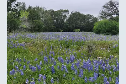 9939 County Road 404, Spicewood, TX 78669 - Photo 16