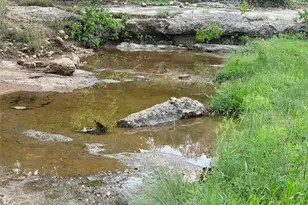 9939 Co Rd 404, Spicewood, TX 78669 - Photo 10