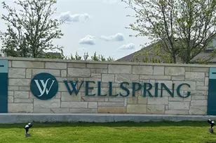 8513 Wellspring Loop, Round Rock, TX 78665 - Photo 38