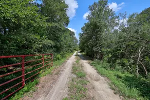 326 The Forest Rd, Dale, TX 78616 - Photo 2