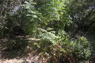 7806 & 7804 Indian Ridge Dr, Austin, TX 78737 - Photo 8