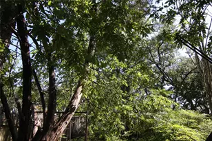 7806 & 7804 Indian Ridge Dr, Austin, TX 78737 - Photo 14