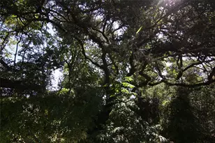 7806 & 7804 Indian Ridge Dr, Austin, TX 78737 - Photo 10