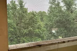 2510 San Gabriel St, Austin, TX 78705 - Photo 14